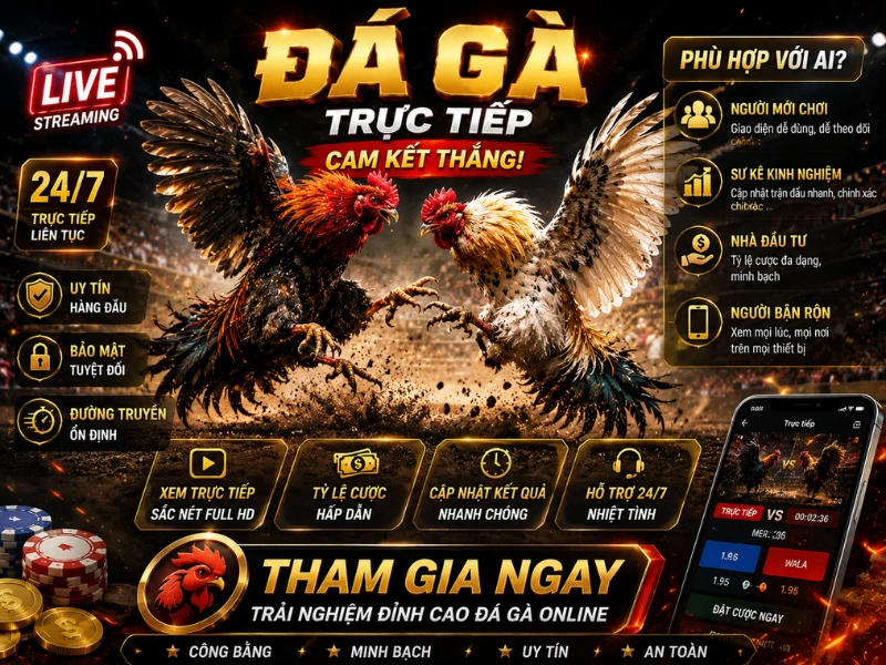 6789w Có Phù Hợp Với Những Ai?
